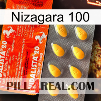 Nizagara 100 new01